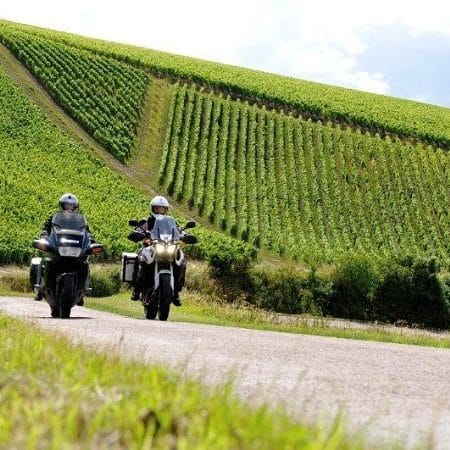 Motorrijders-toeren-door-de-wijngaarden
